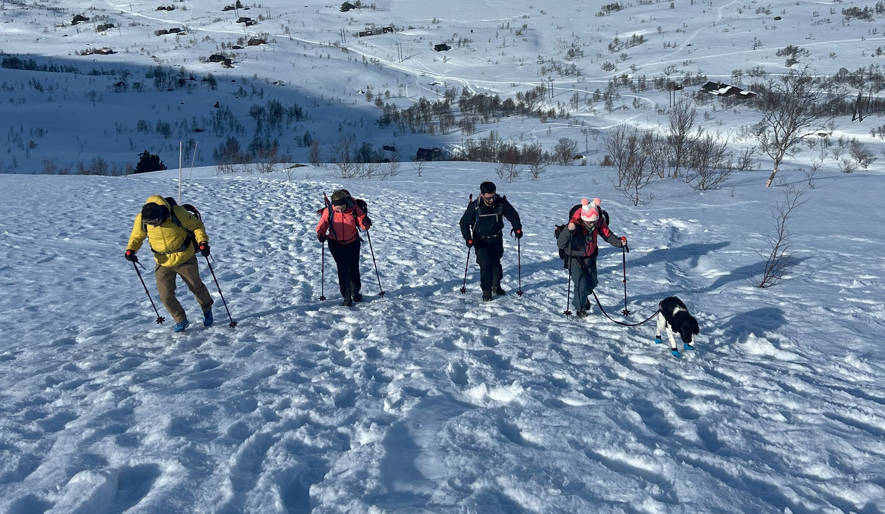 Trolltunga hike winter