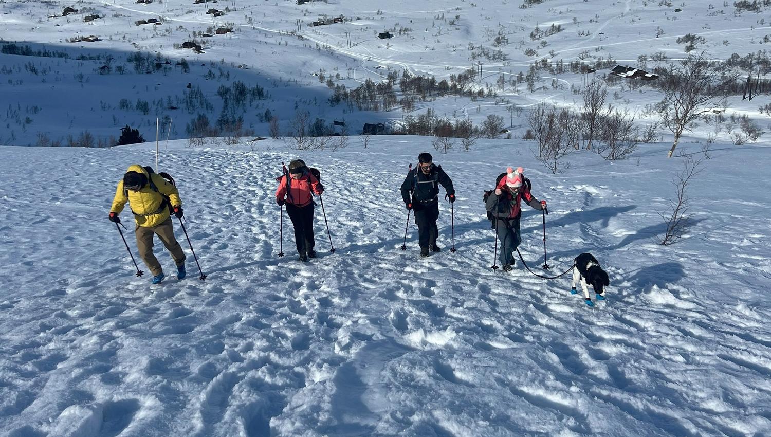 Trolltunga hike winter