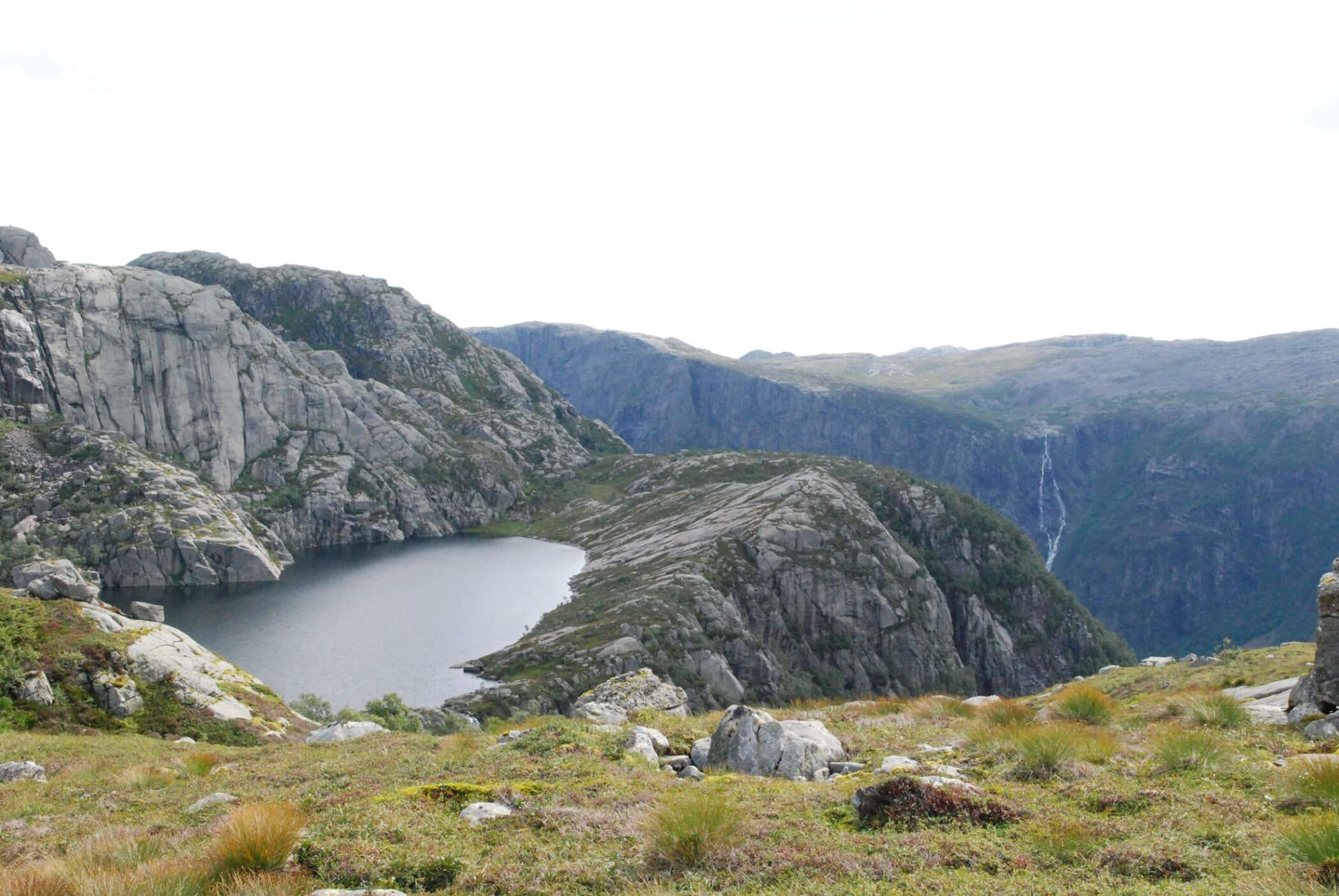 Vinjakula