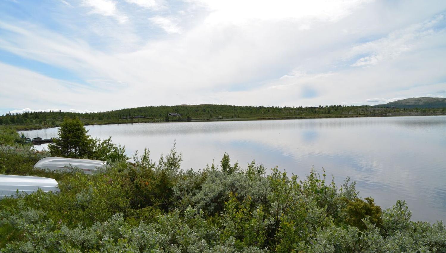 Flaksjøen