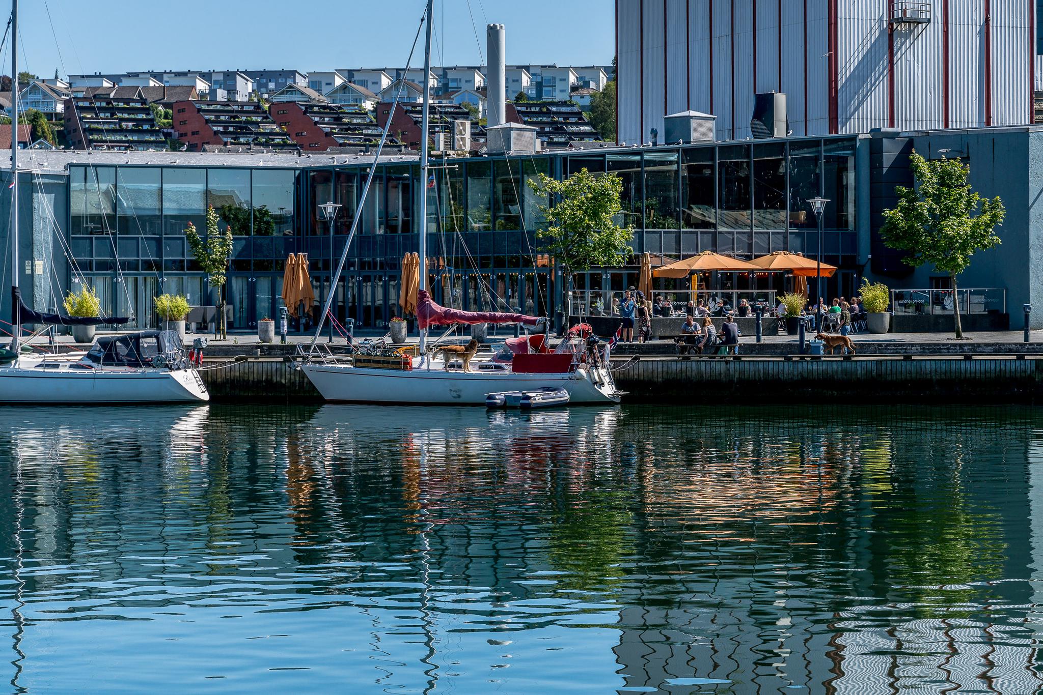 Guest marina in Sandnes