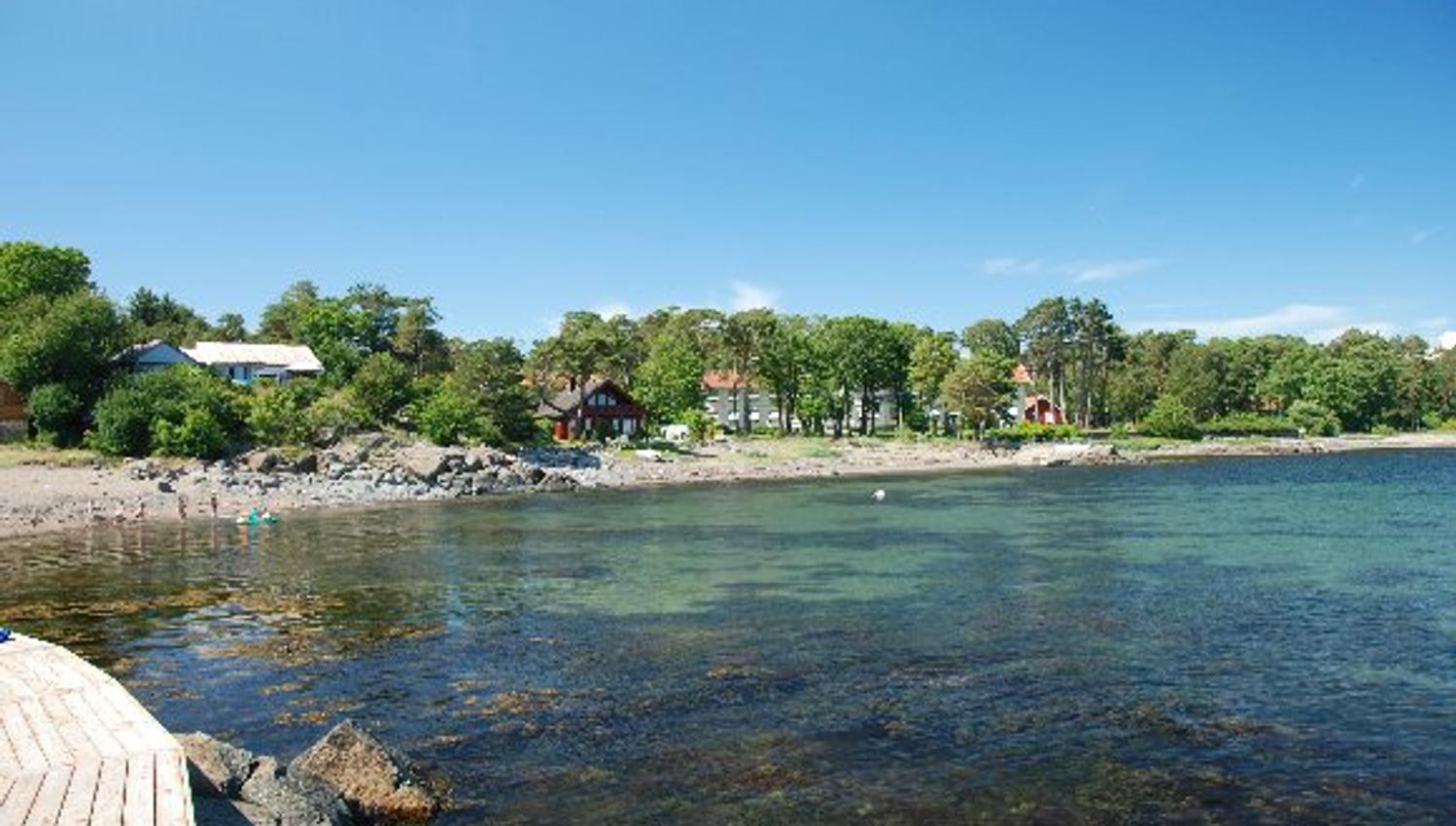 Sea and beach