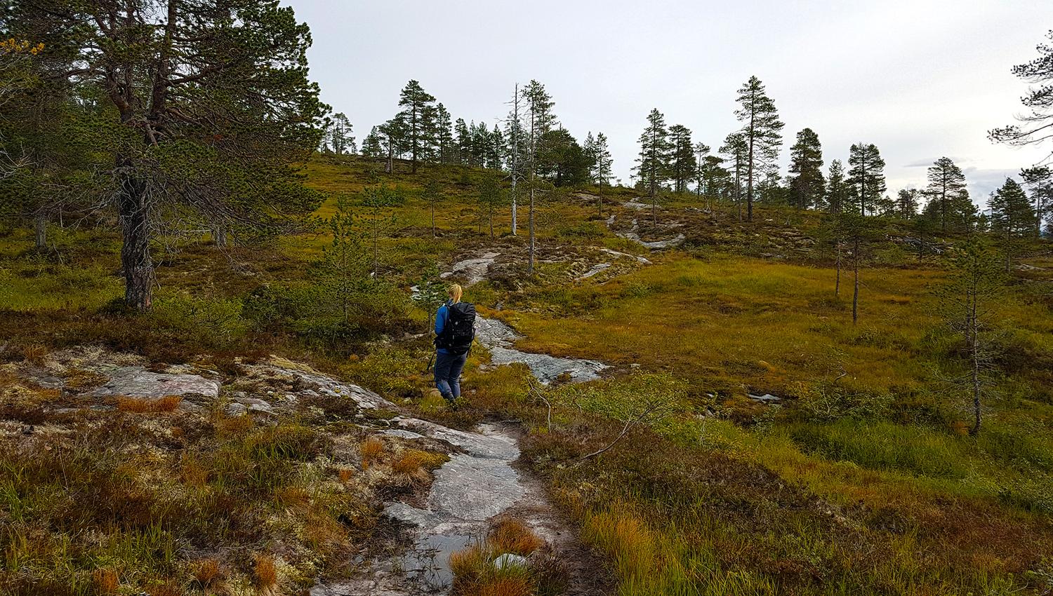 From the trail between Storsjøen and Andorsjøhytta cabin
