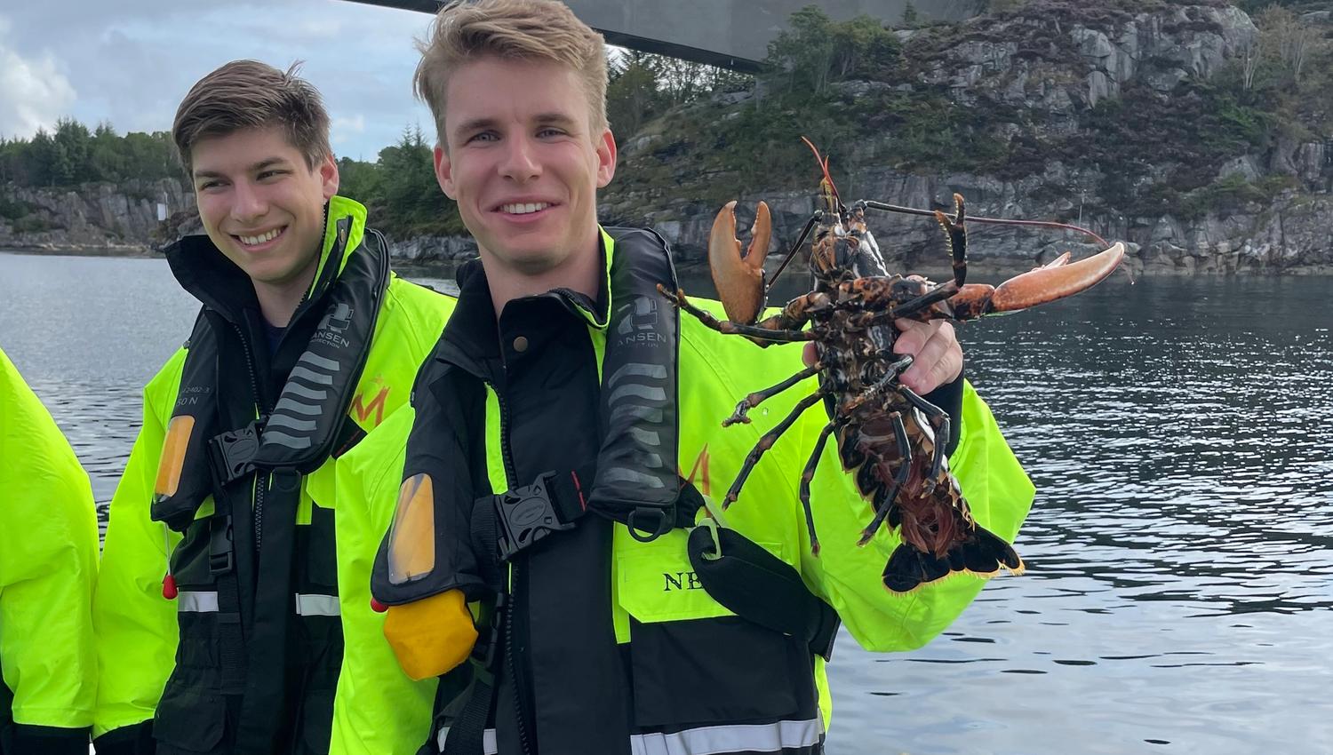 Øygarden Opplevelser