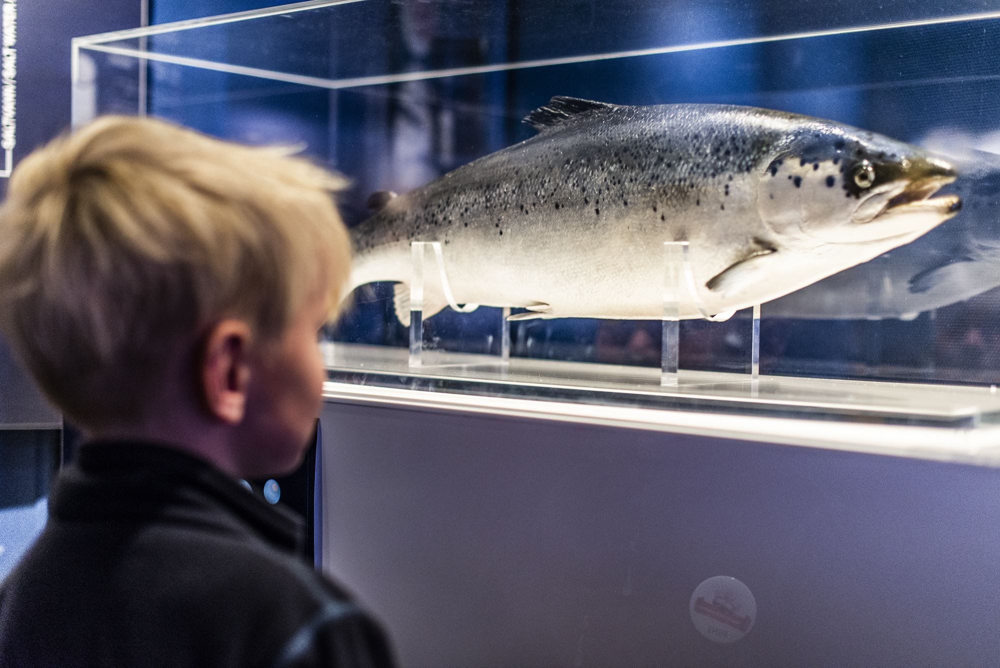 Norsk Havbrukssenter