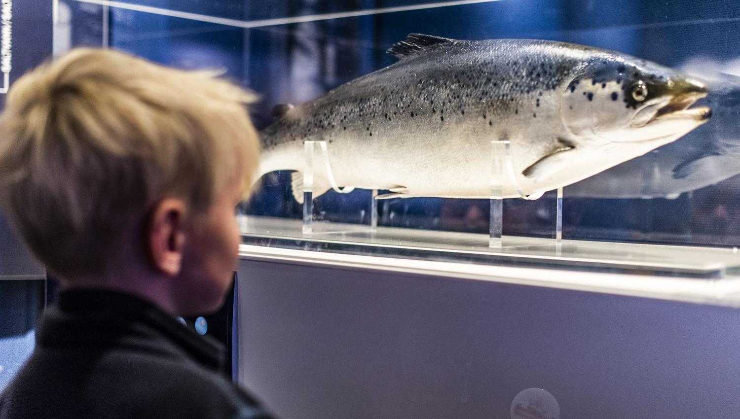 Norsk Havbrukssenter