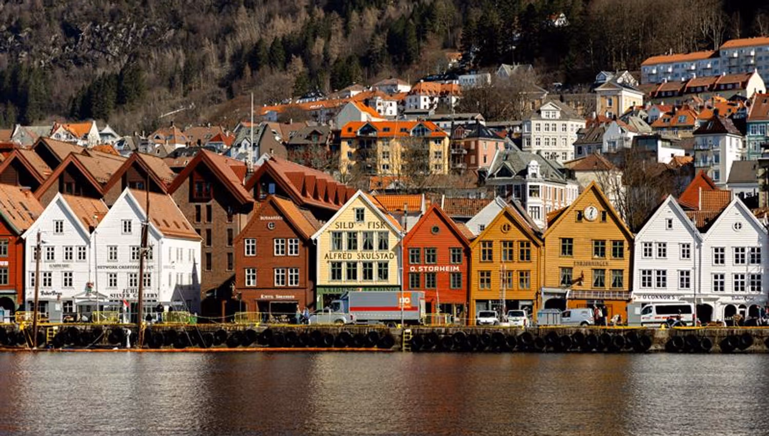 Bryggen World Heritage Site