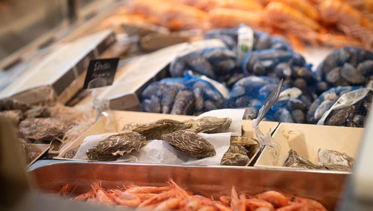 Detail of various seafood