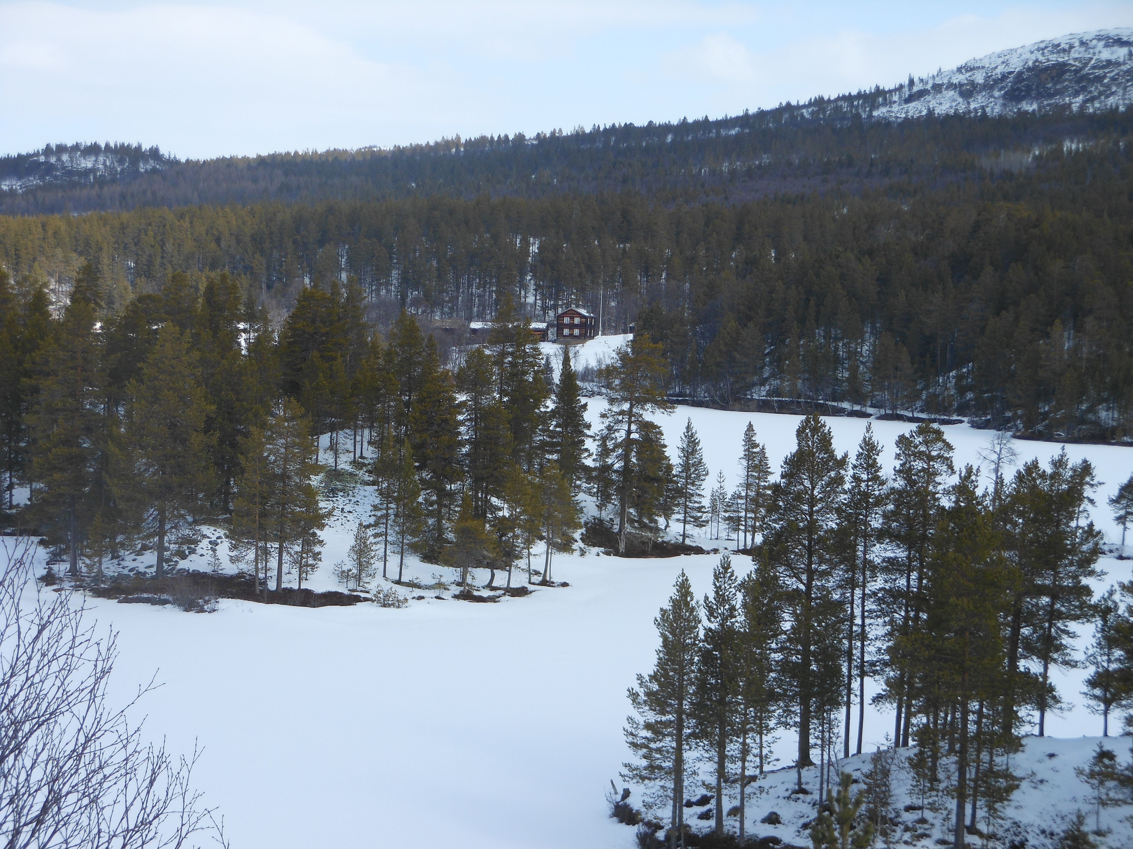 Vinter
