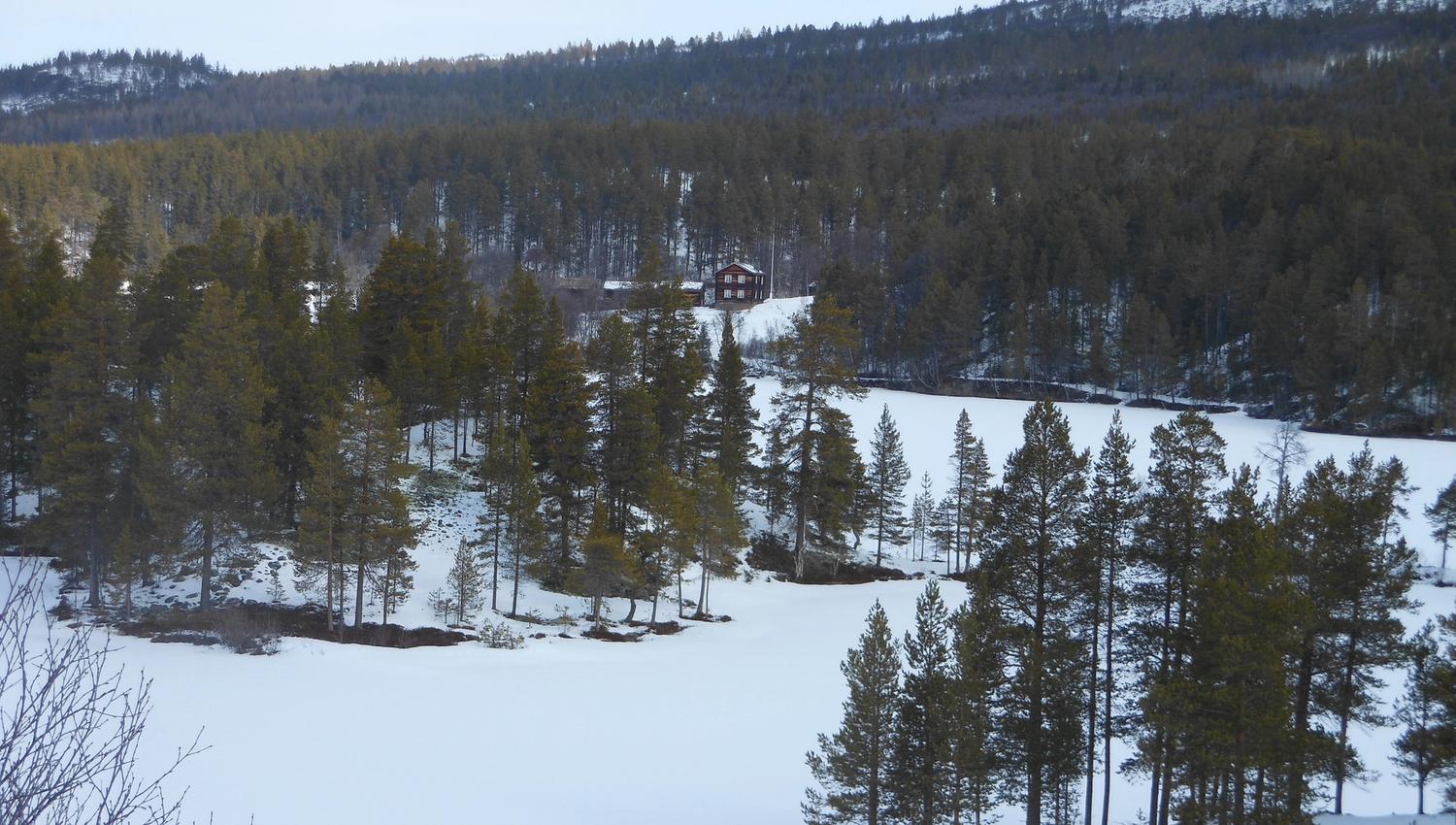 Vinter