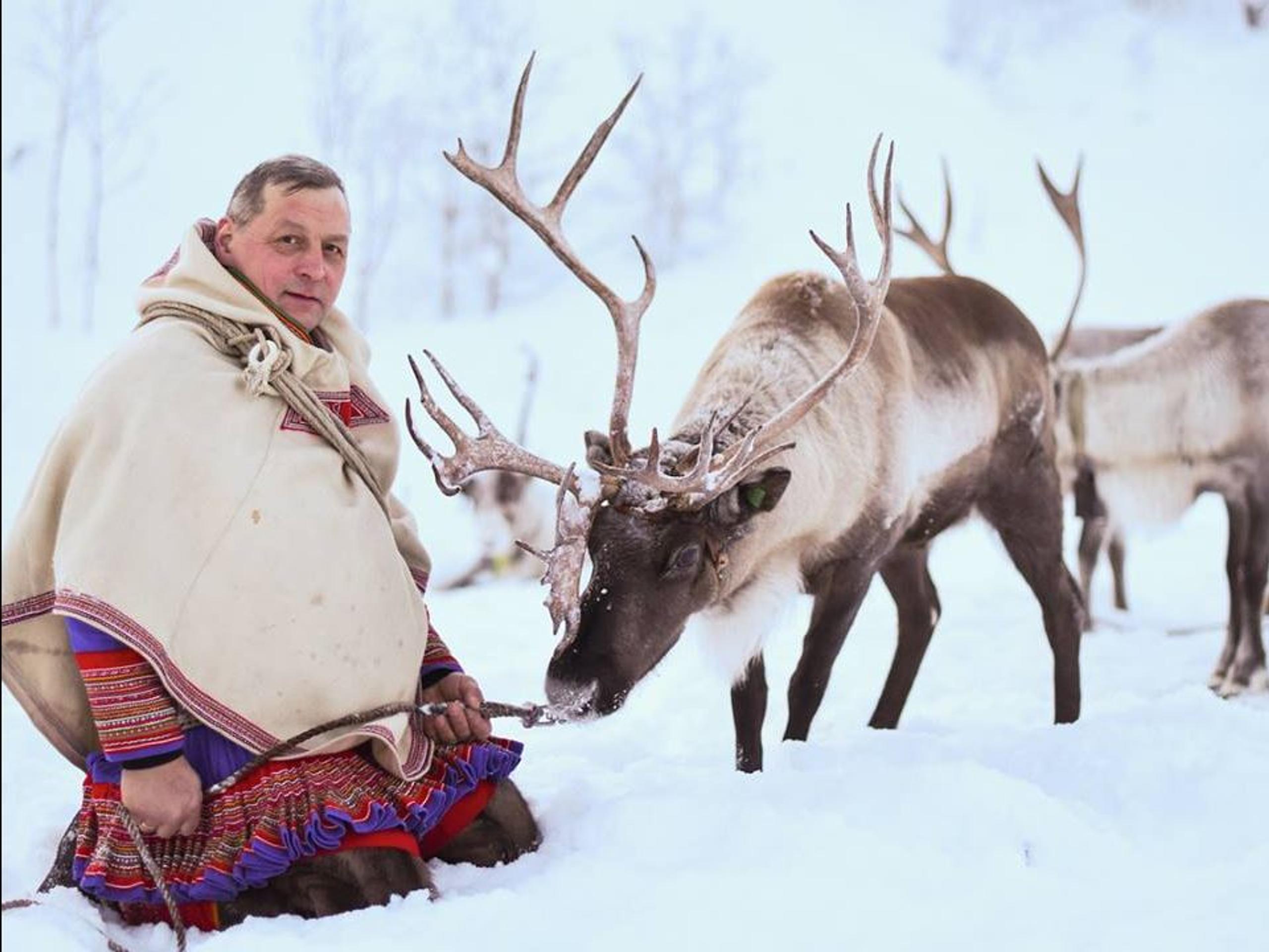 Sami Experience - Meet a sami reindeer herder - The Samiway