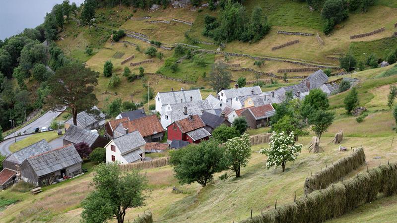 Drying hay 