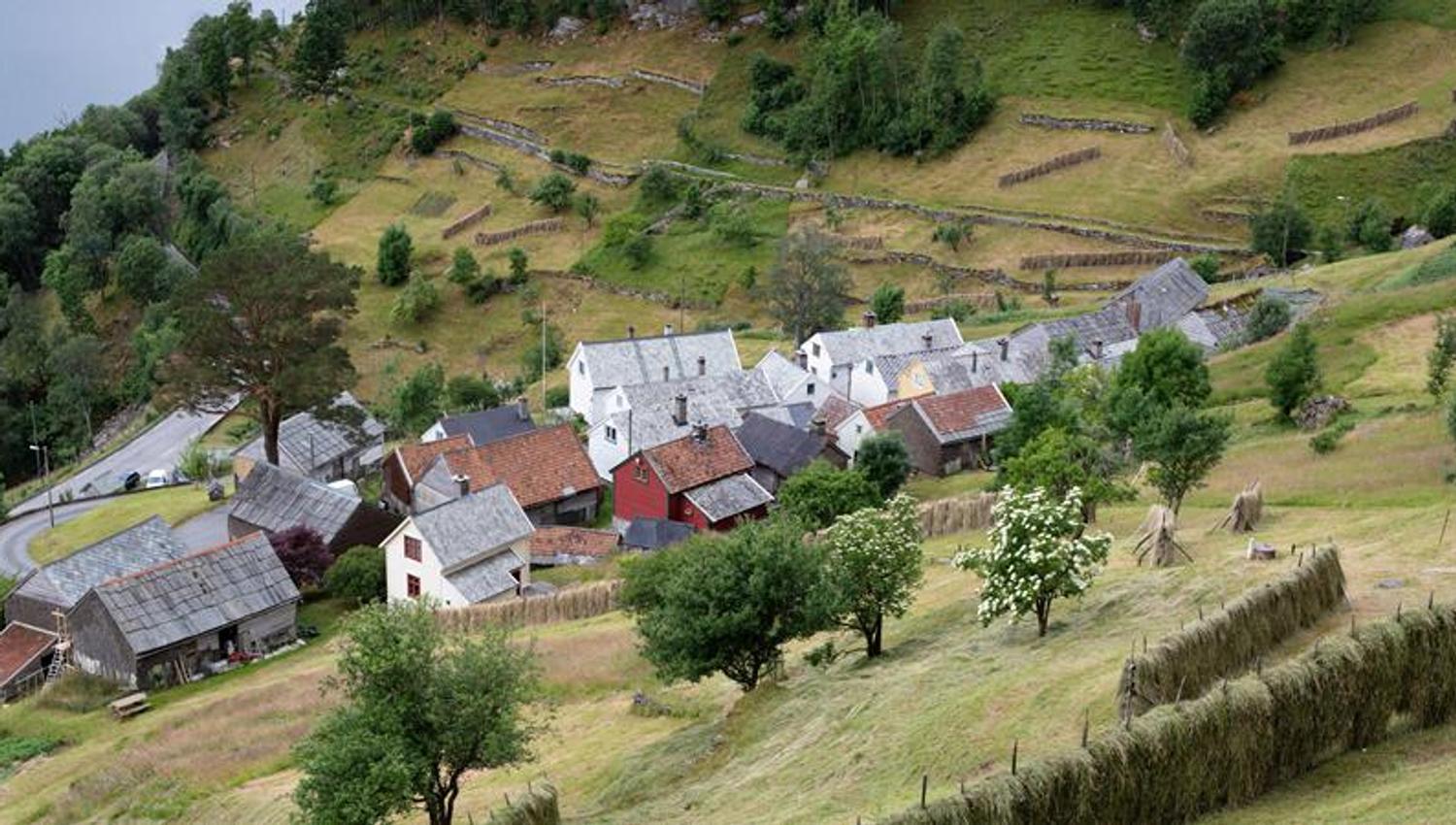 Drying hay
