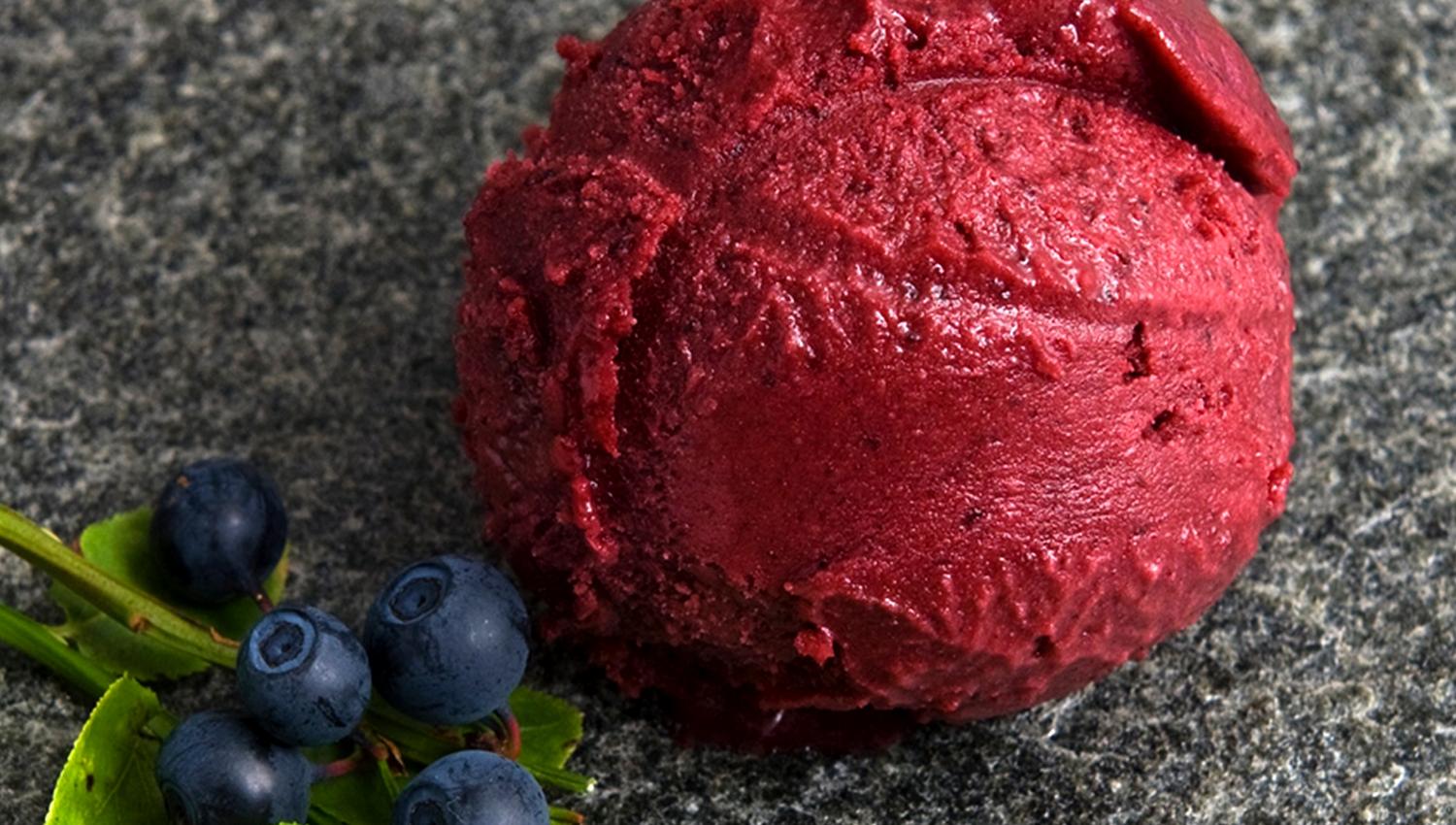 Gangstad gårdsysteri - blueberry ice cream