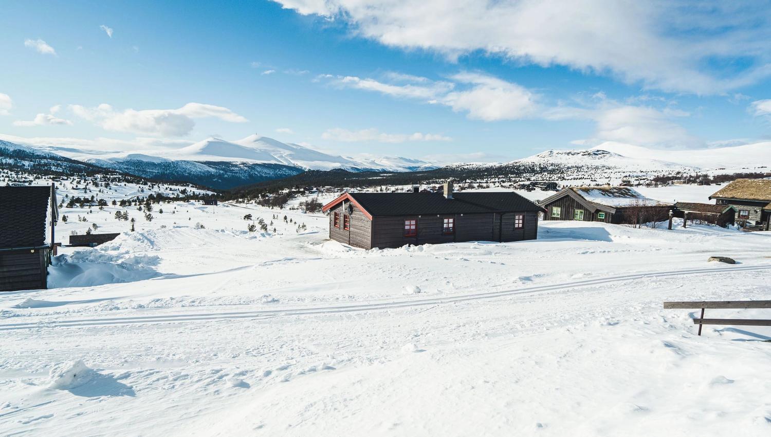 Foto- Erland Husom-Nasjonalparkriket