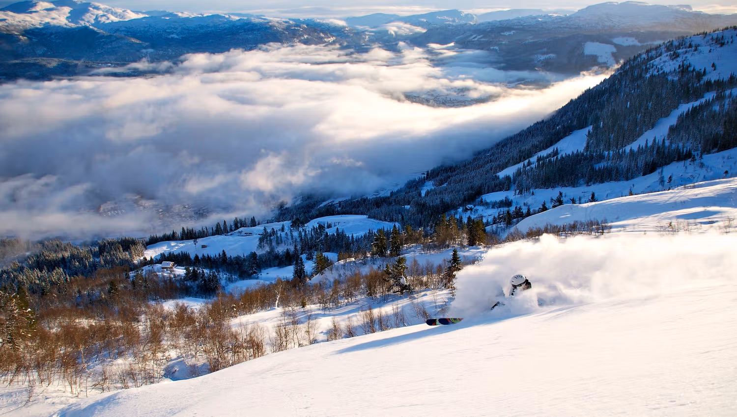Voss Resort