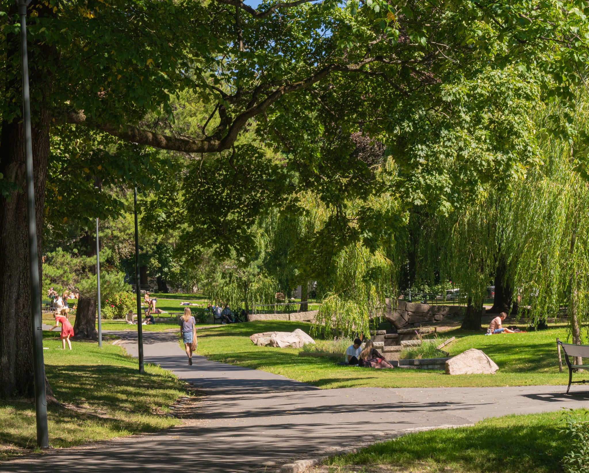 Walkway in the park.