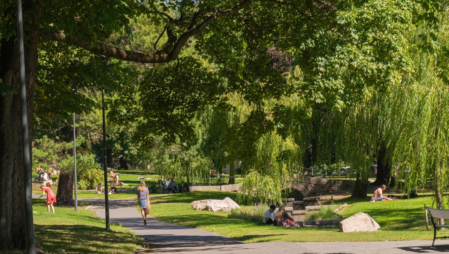 Walkway in the park.