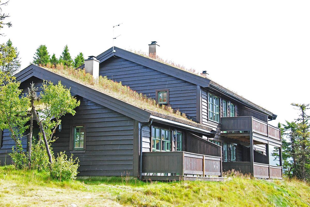 Koselig hytte med gresstak