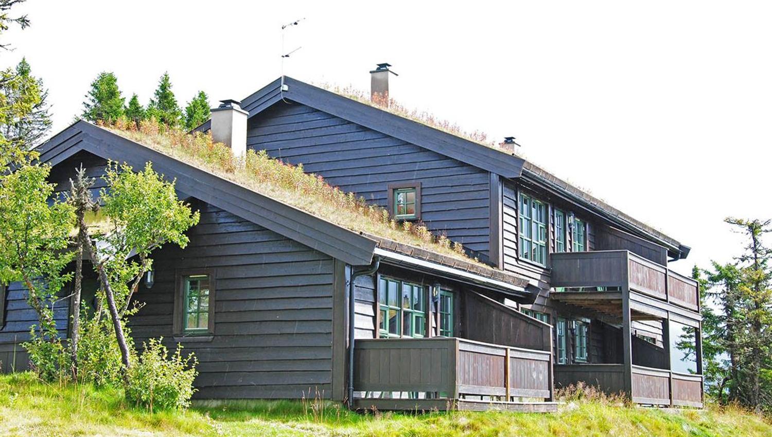 Koselig hytte med gresstak