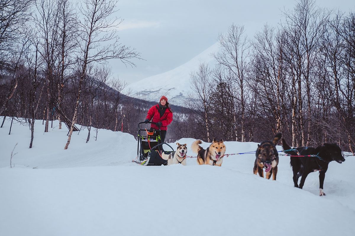 Driving the dog sled