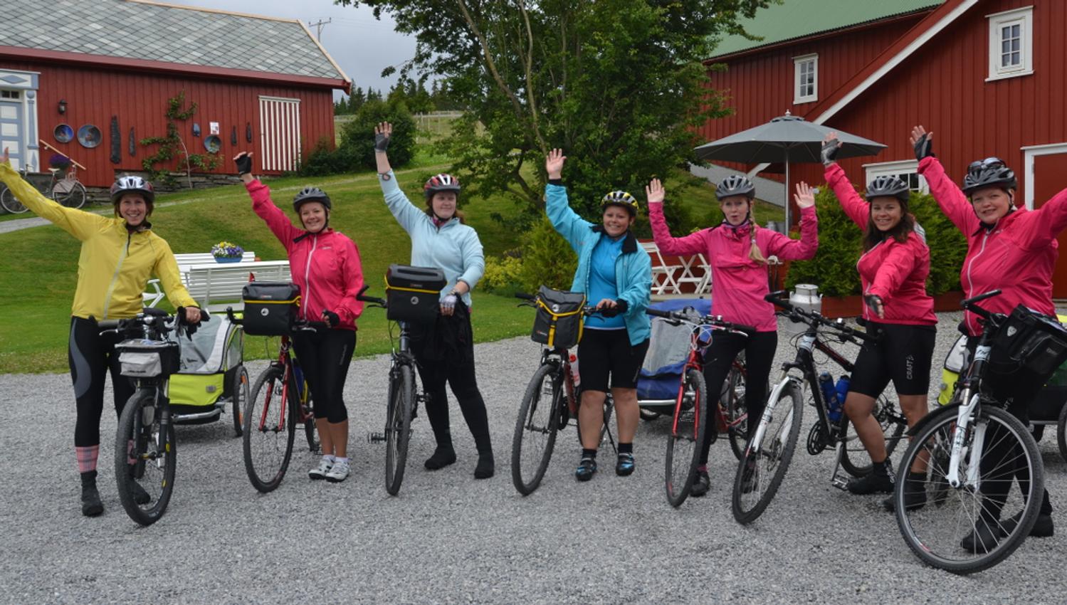 Gangstad a group of bikers in the farm yard