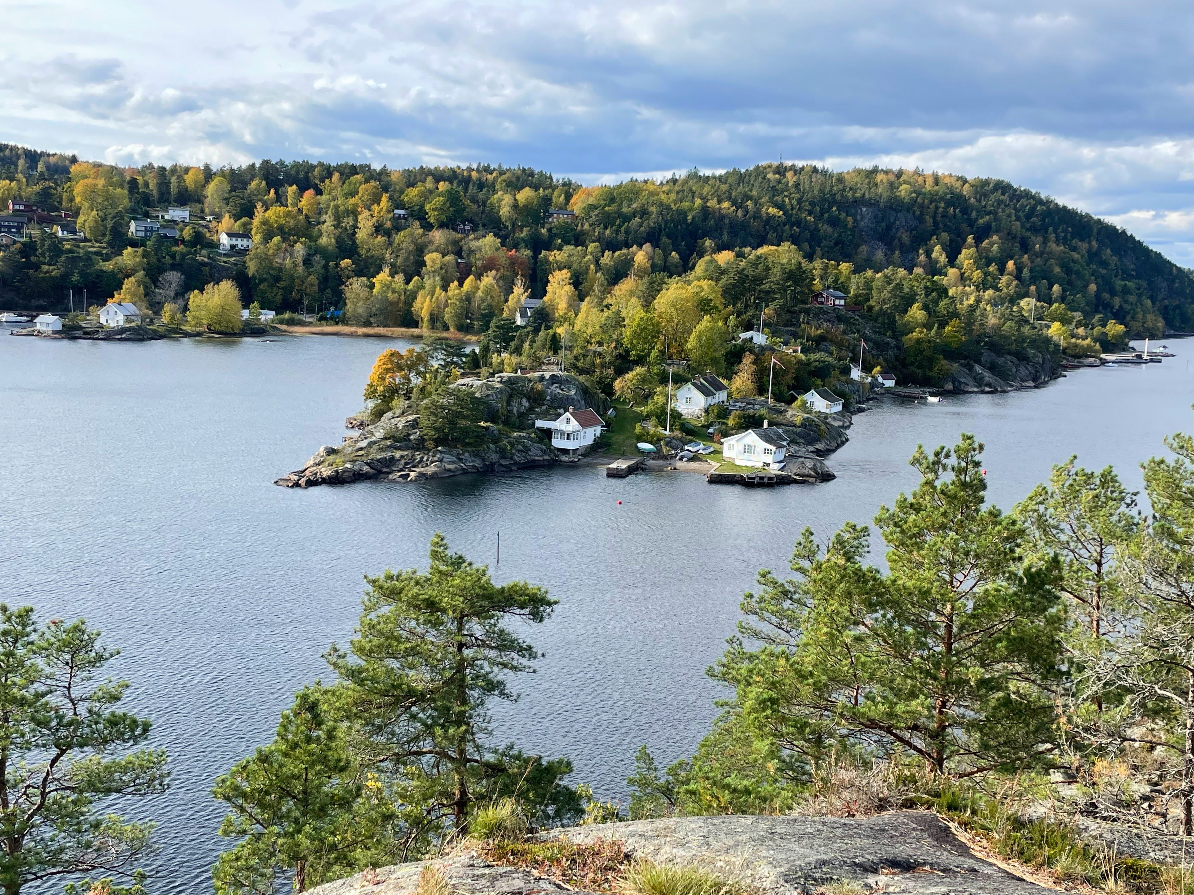 View to Sandspollen, sea and forest