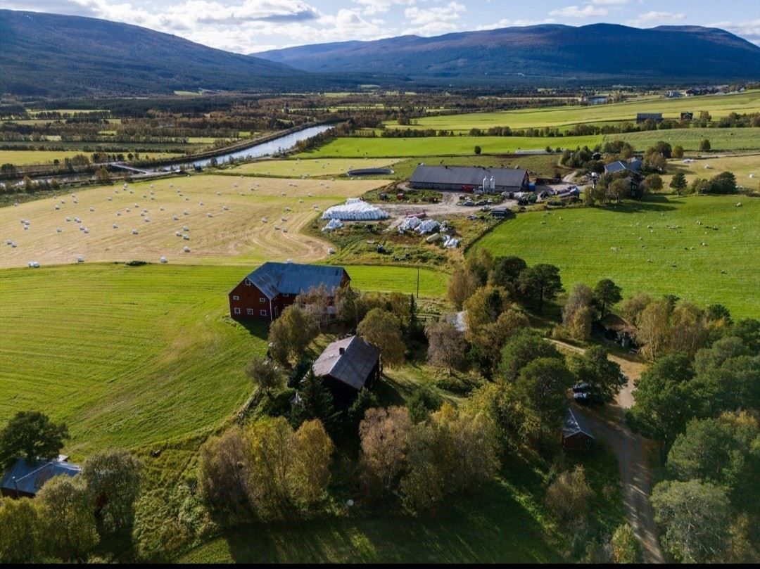 Aerial view of a farmyard surrounded by green fields and forest, with mountains and a blue sky in the background.