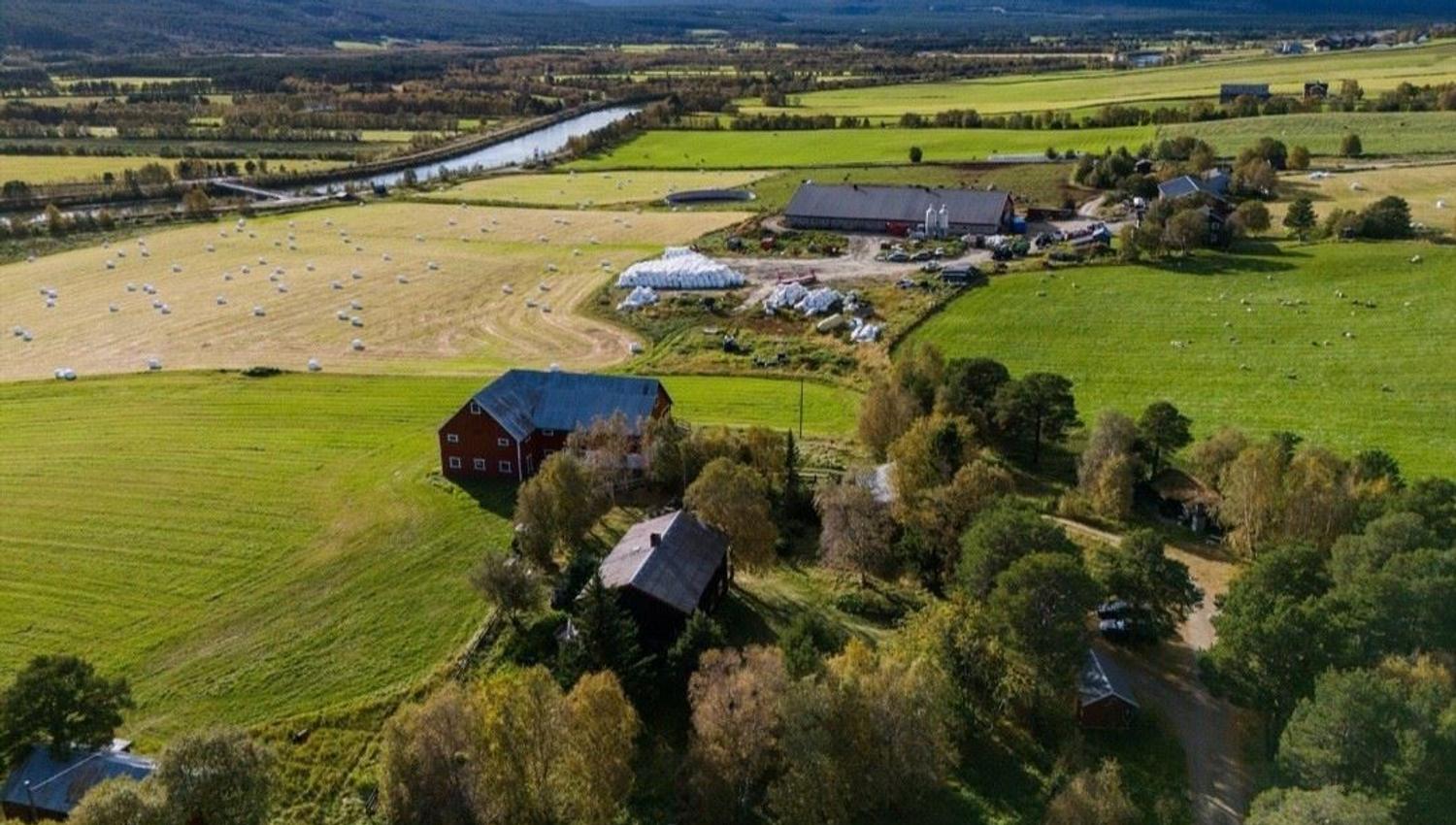Aerial view of a farmyard surrounded by green fields and forest, with mountains and a blue sky in the background.