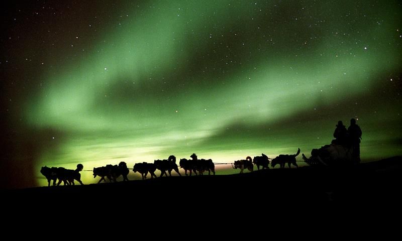 Hundeslede med nordlys i bakgrunnen