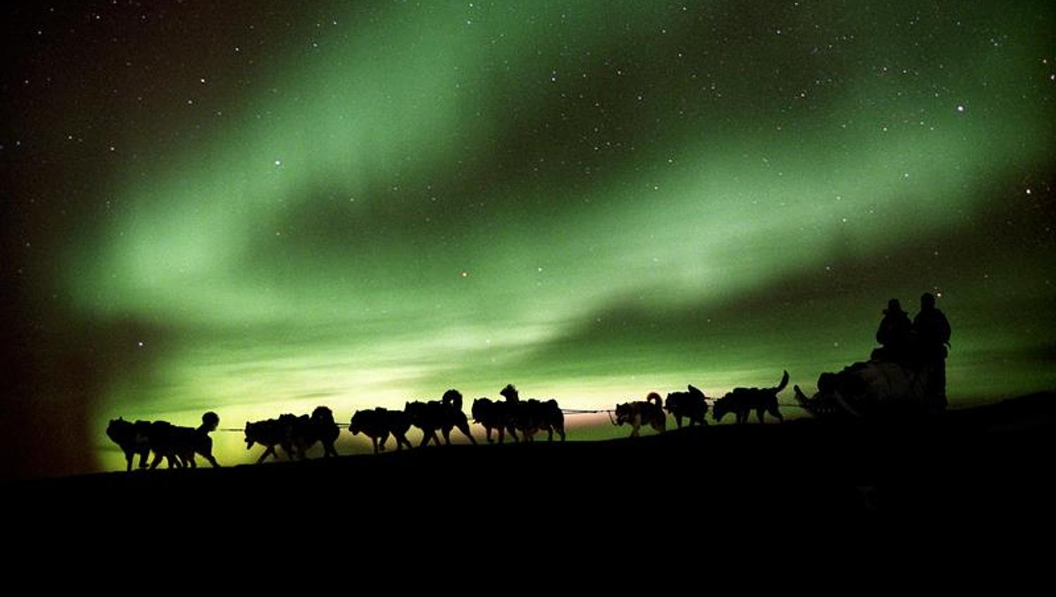 Hundeslede med nordlys i bakgrunnen