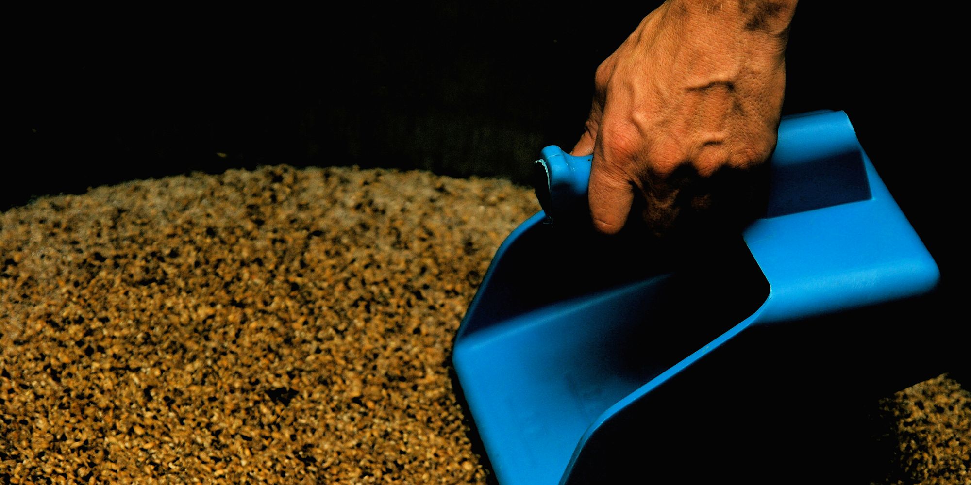 Inderøy Gårdsbryggeri, along the Golden Road - grains