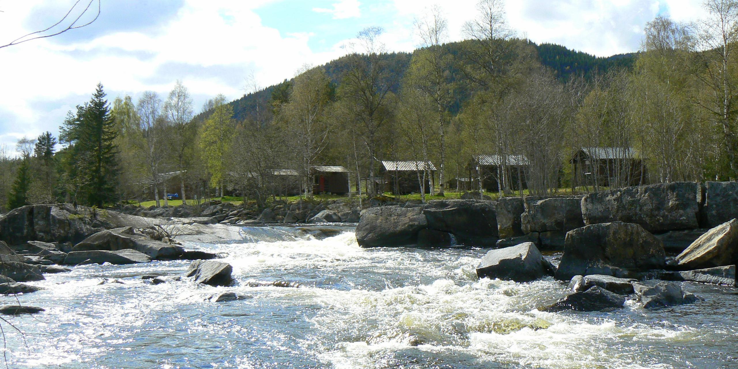 Ål camping