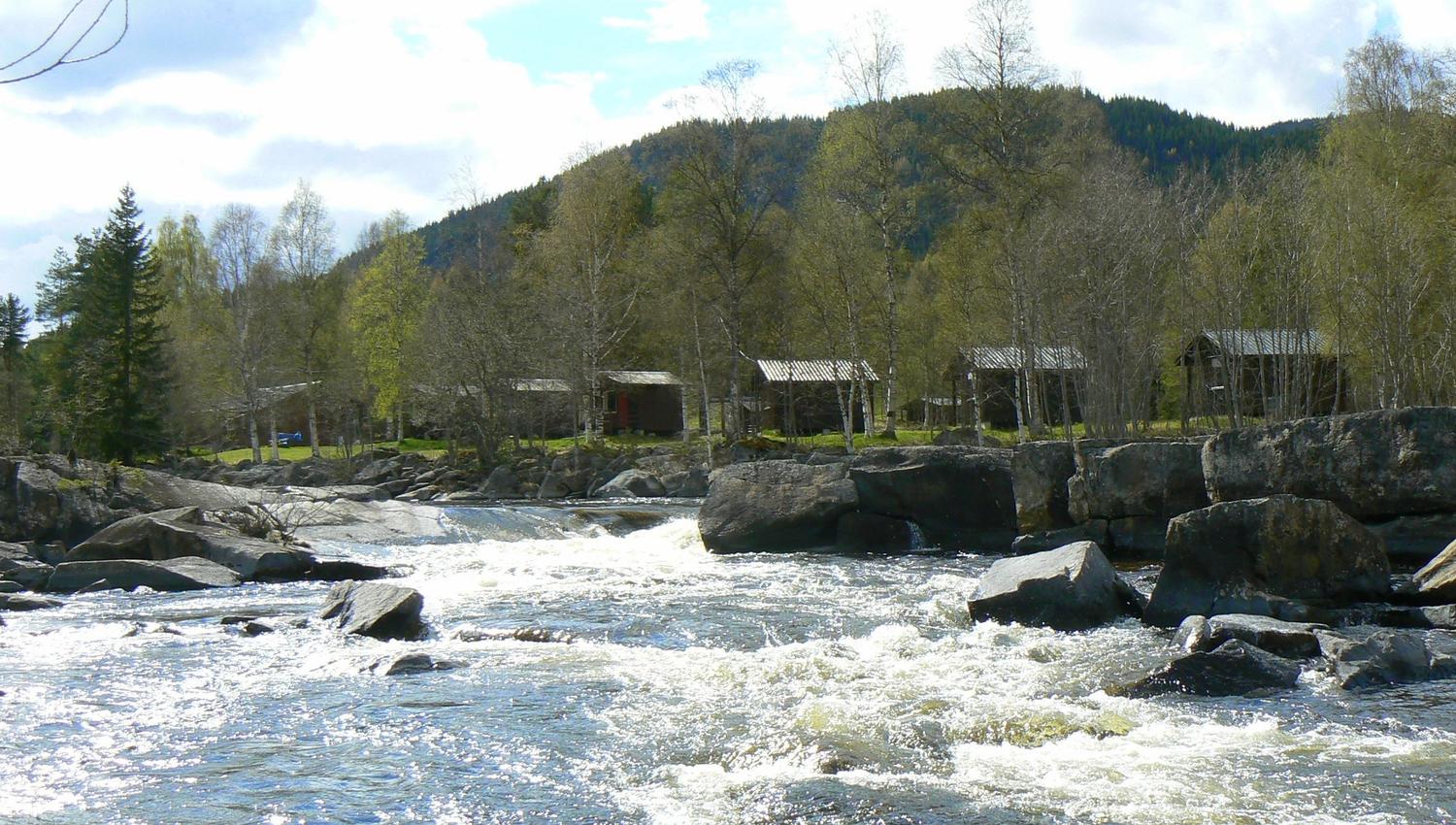 Ål camping