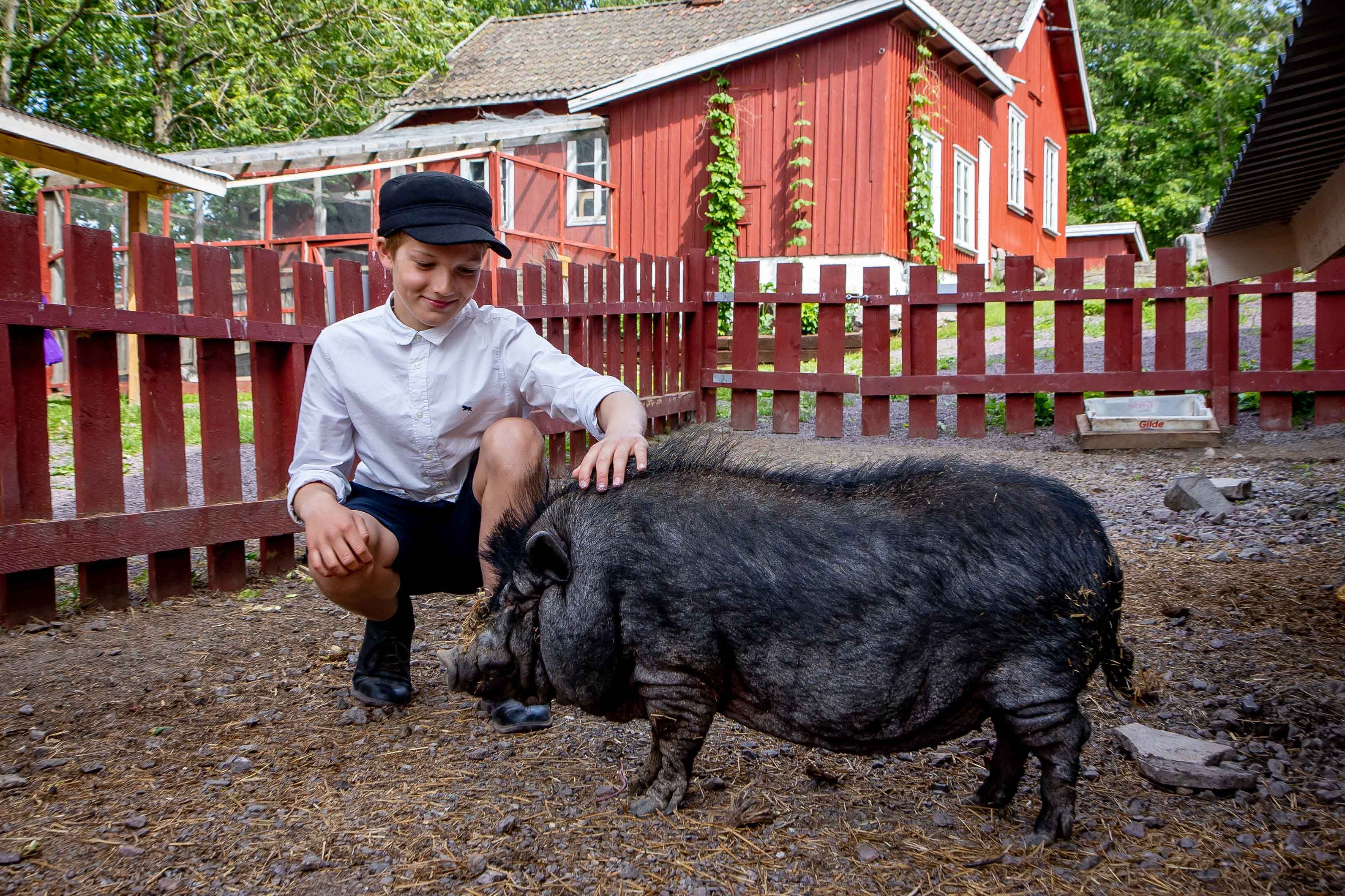 Boy cuddling with pig