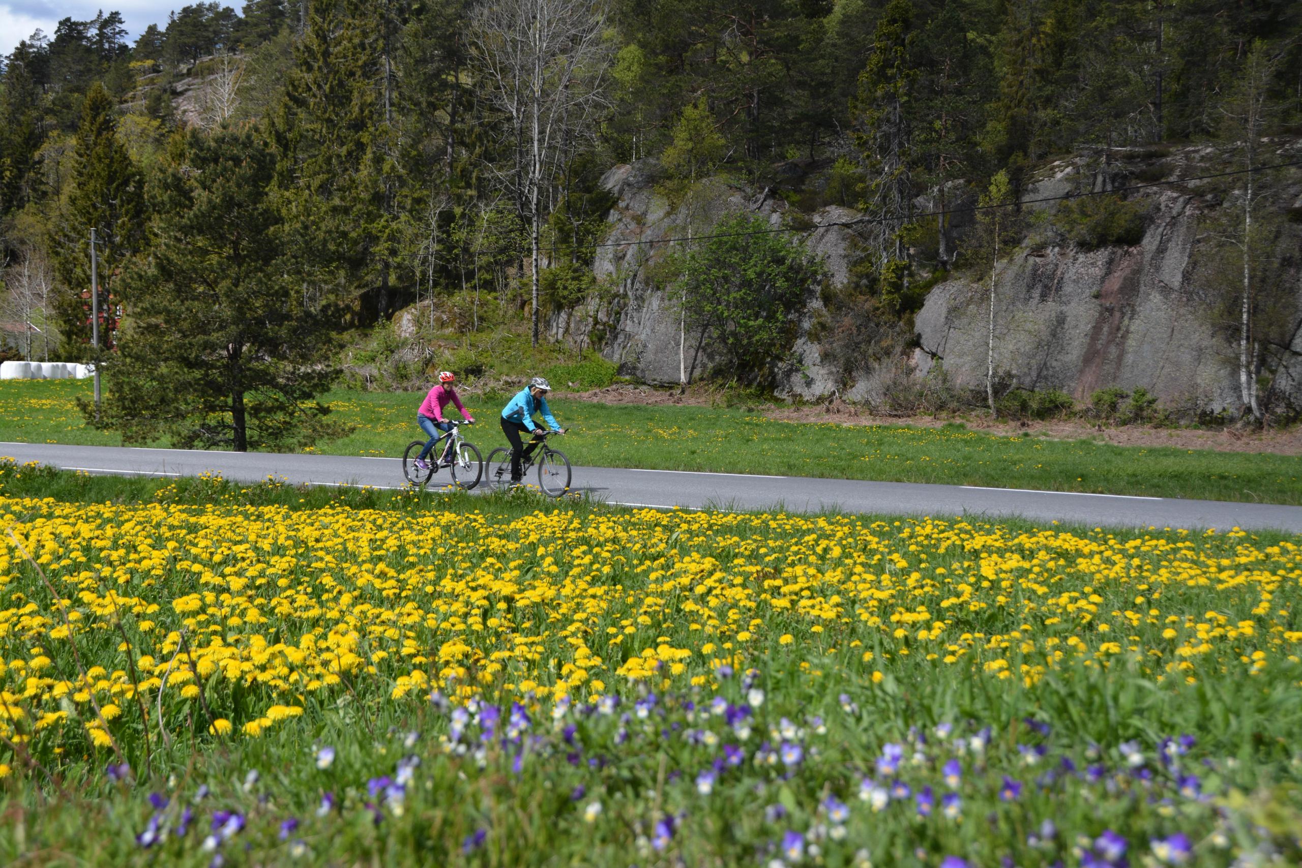 Sykkeltur "Syndle rundt" 47 km