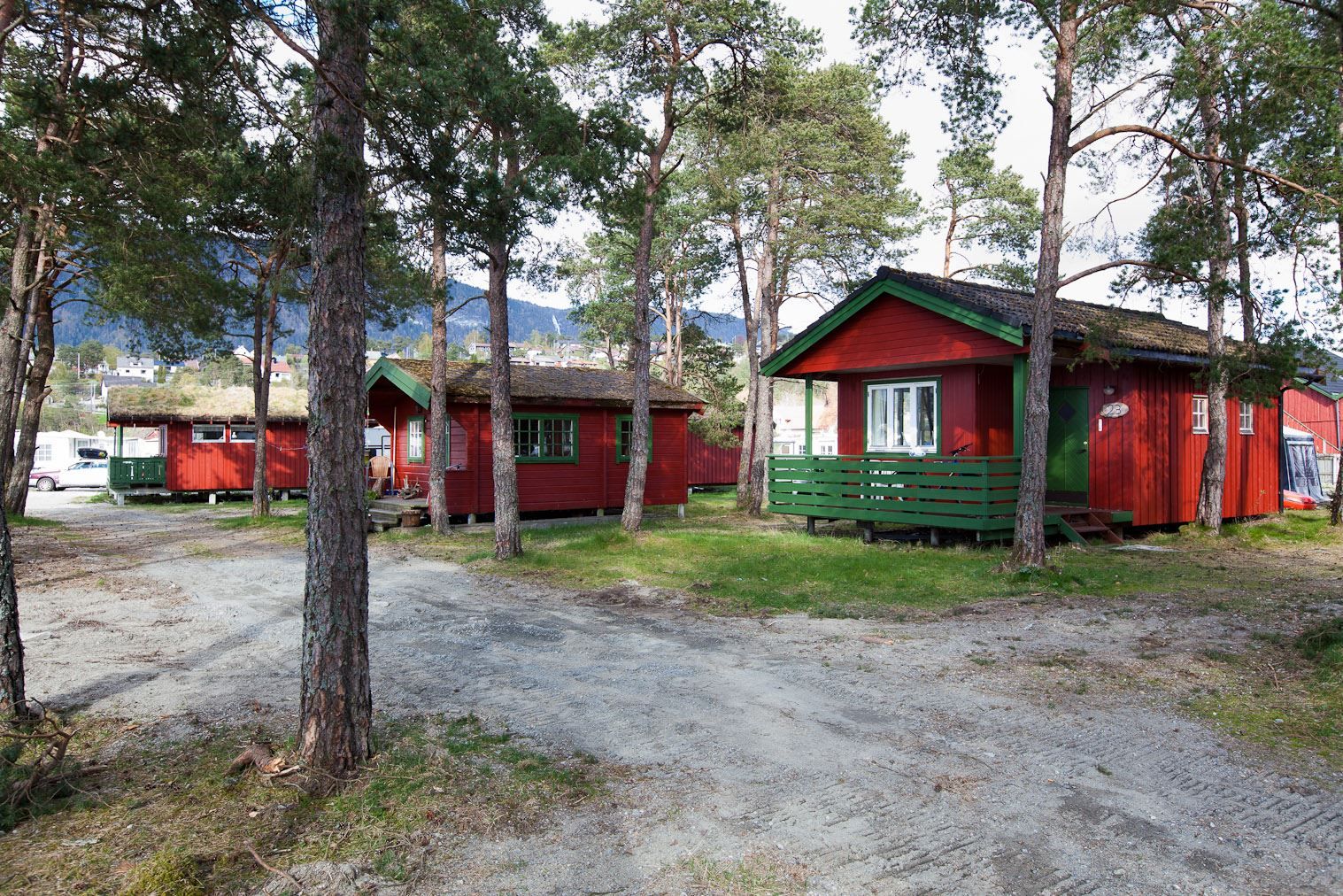 Three red wooden cabins with green trim sit among tall pine trees beside a gravel path on a bright day at Gloppen Camping, Nordfjord...