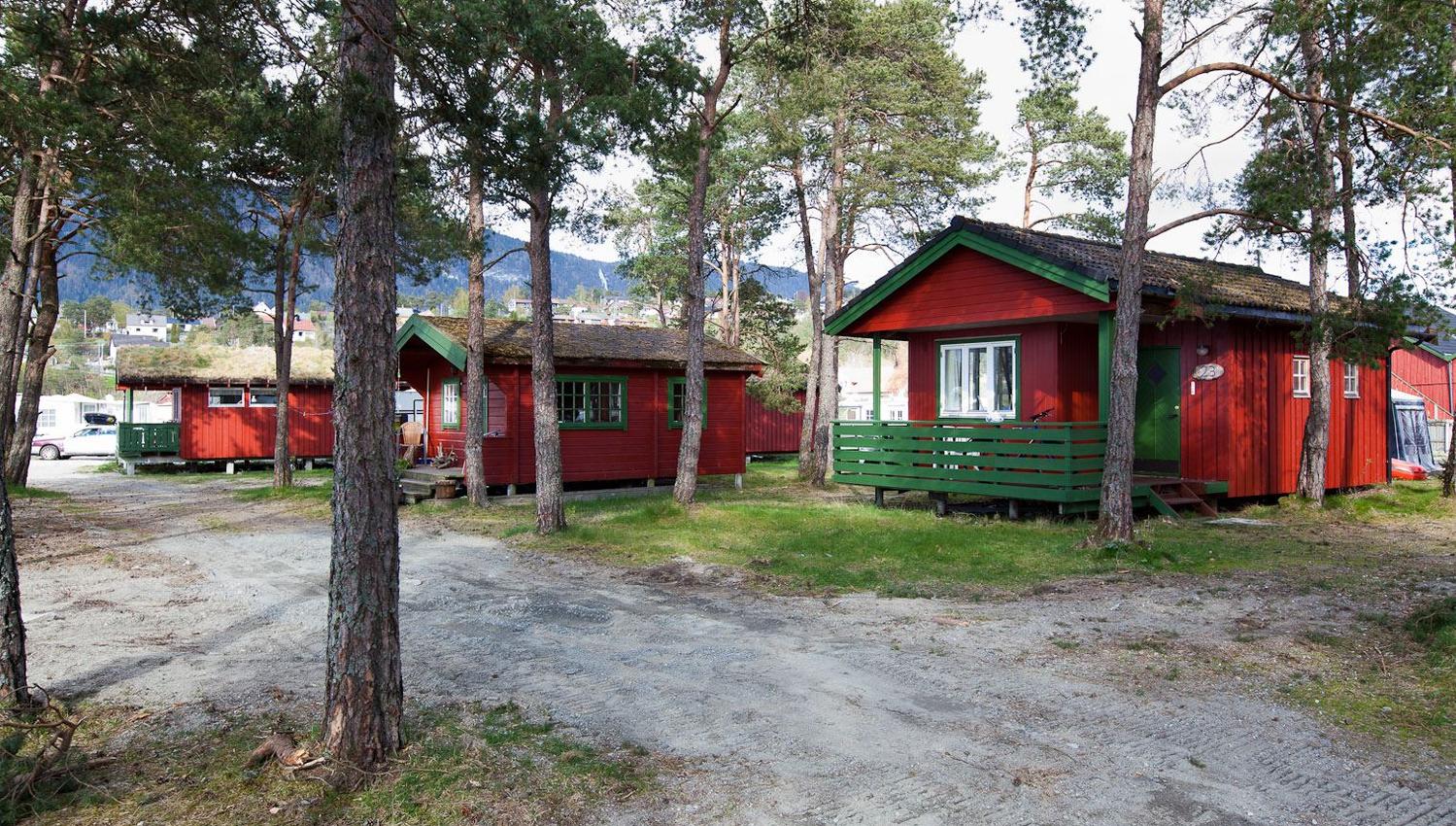 Three red wooden cabins with green trim sit among tall pine trees beside a gravel path on a bright day at Gloppen Camping, Nordfjord...
