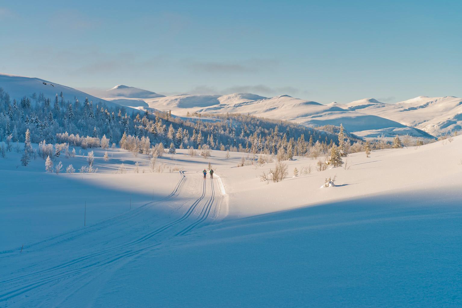 Vinterlys skitur | Spidsbergseter Resort Rondane