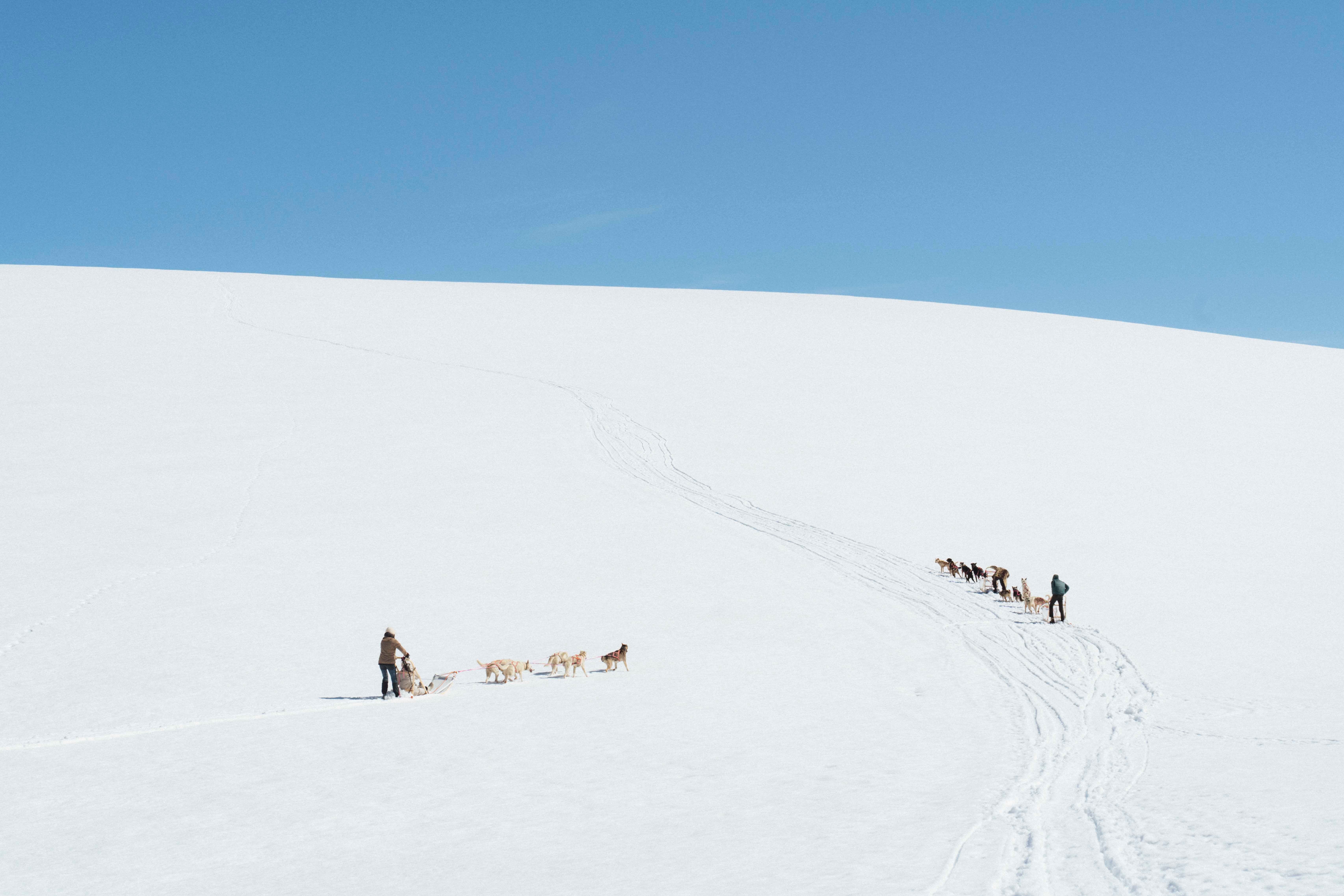 View  over folgefonna glacier with two dog sled teams from folgefonna husky camp in the distance.