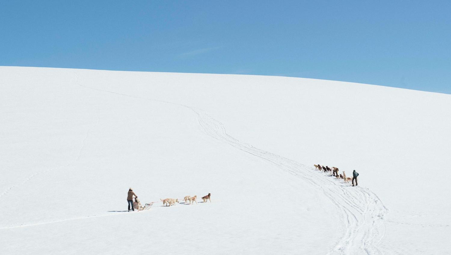 View over folgefonna glacier with two dog sled teams from folgefonna husky camp in the distance.