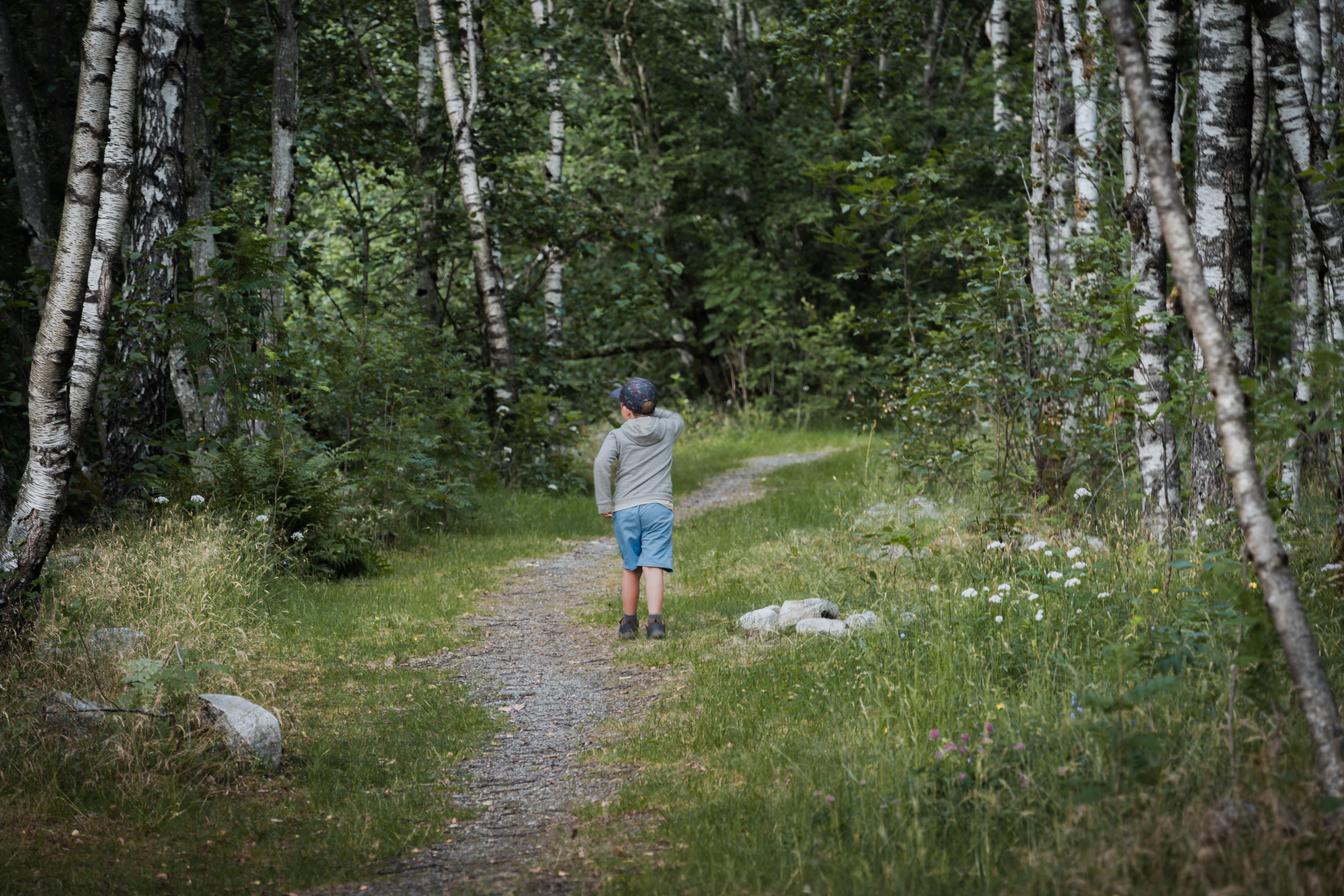 A small boy walks on a path in to the woods.