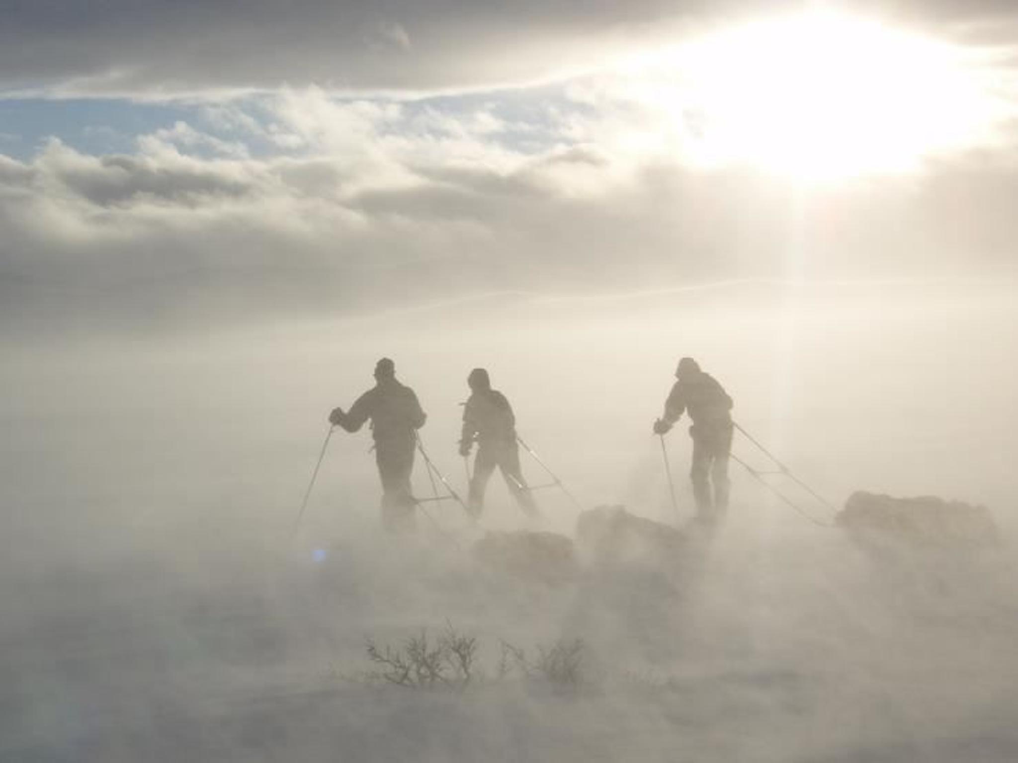 Skiekspedisjon over Finnmarksvidda med Turgleder