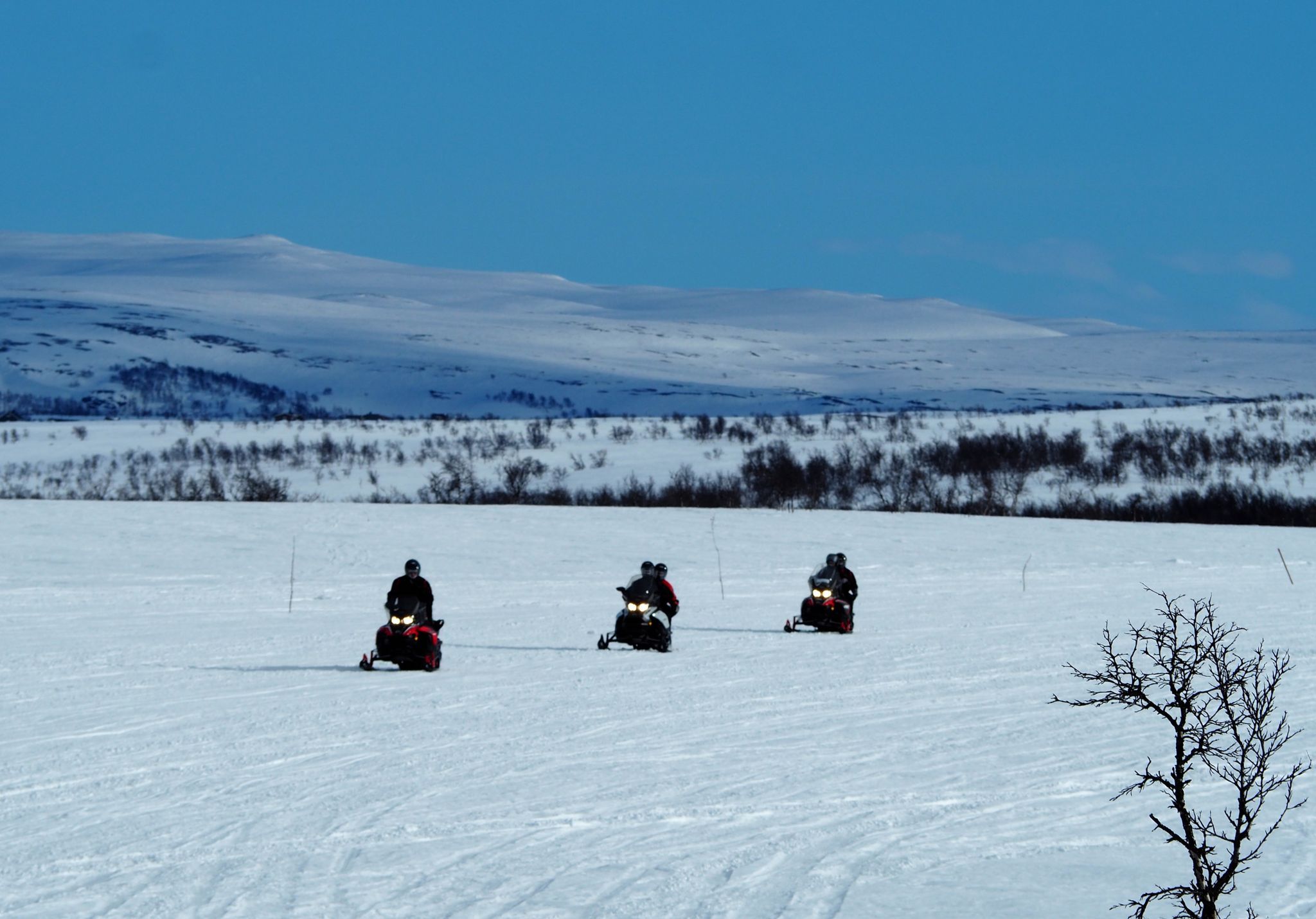 Trois motoneiges circulent sur un vaste champ de neige sous un ciel bleu.