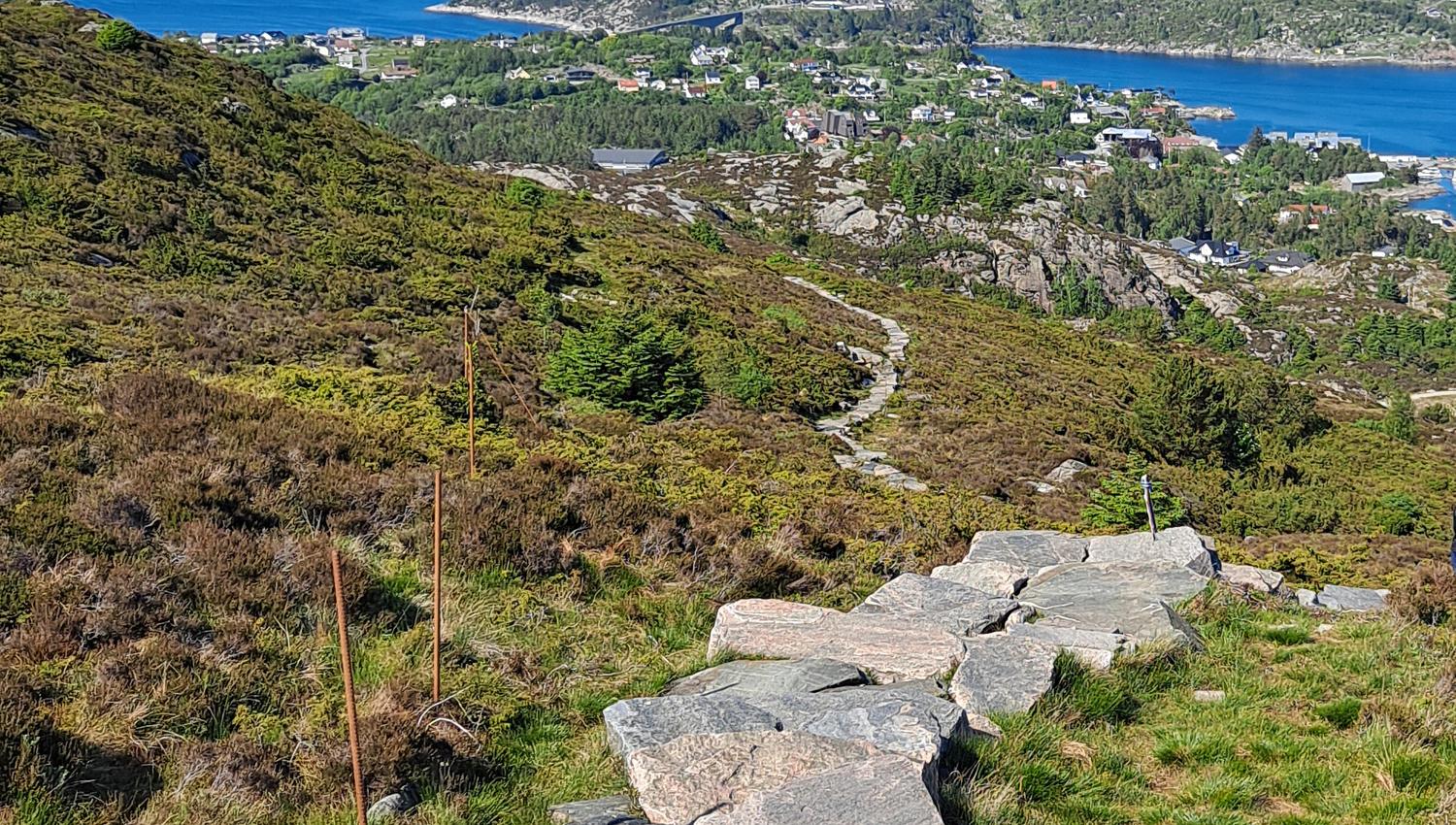 Kongskleiva