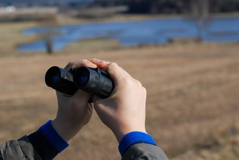person holding binoculars