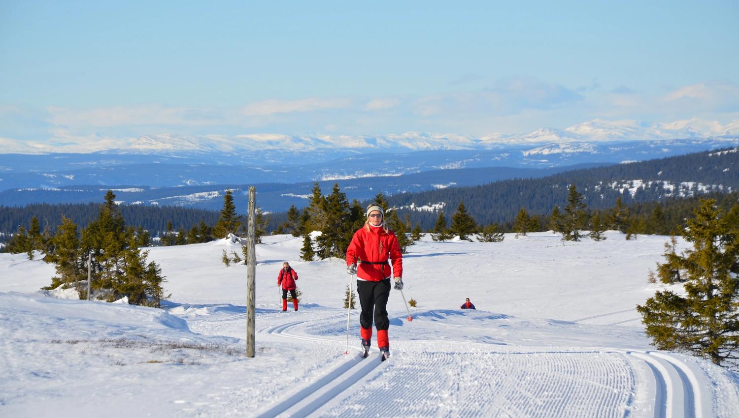 Crosscountry skiing