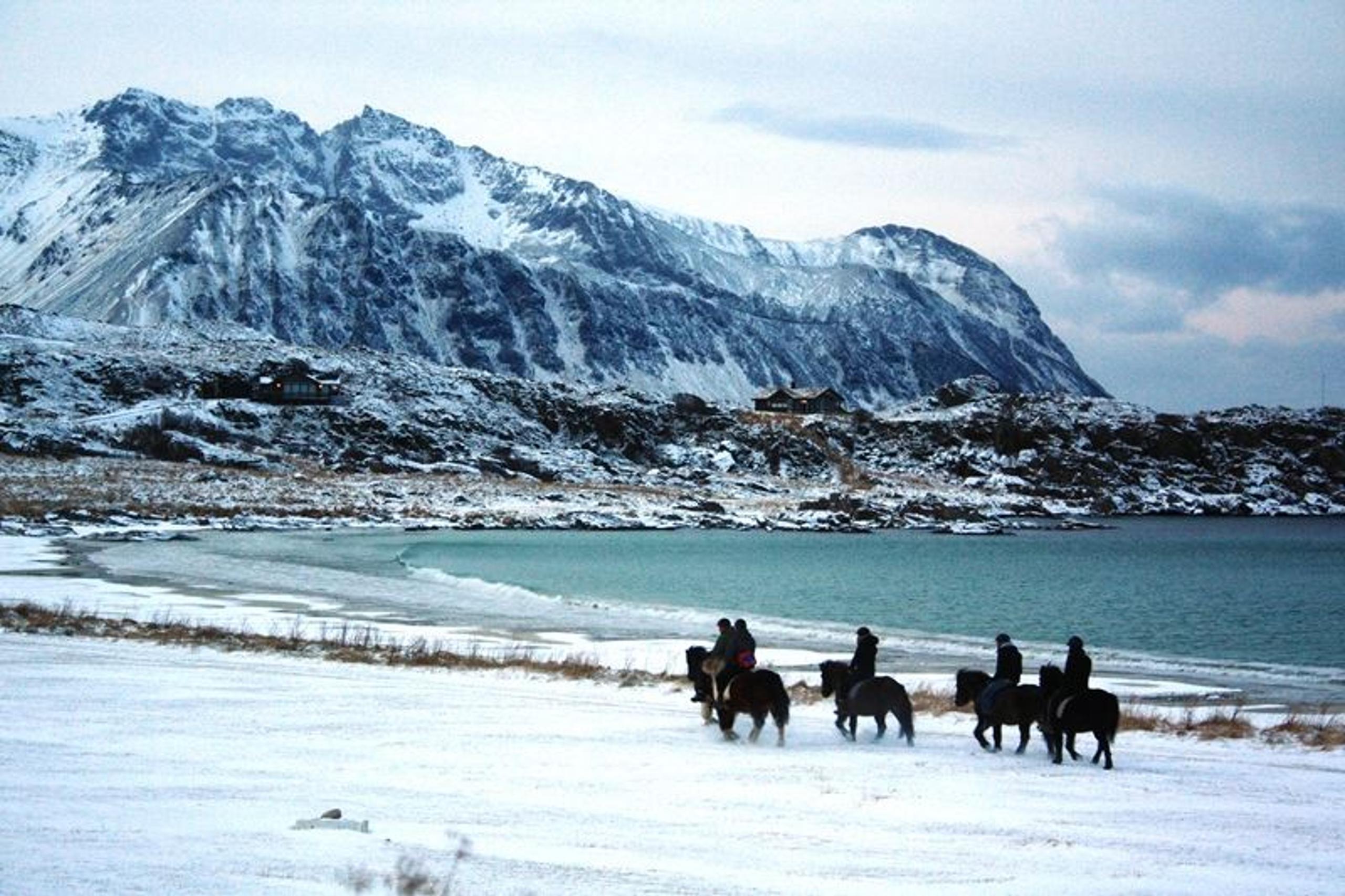 Half Day Tour (4 hours) - Horsebackriding on Icelandic Horses in Lofoten 