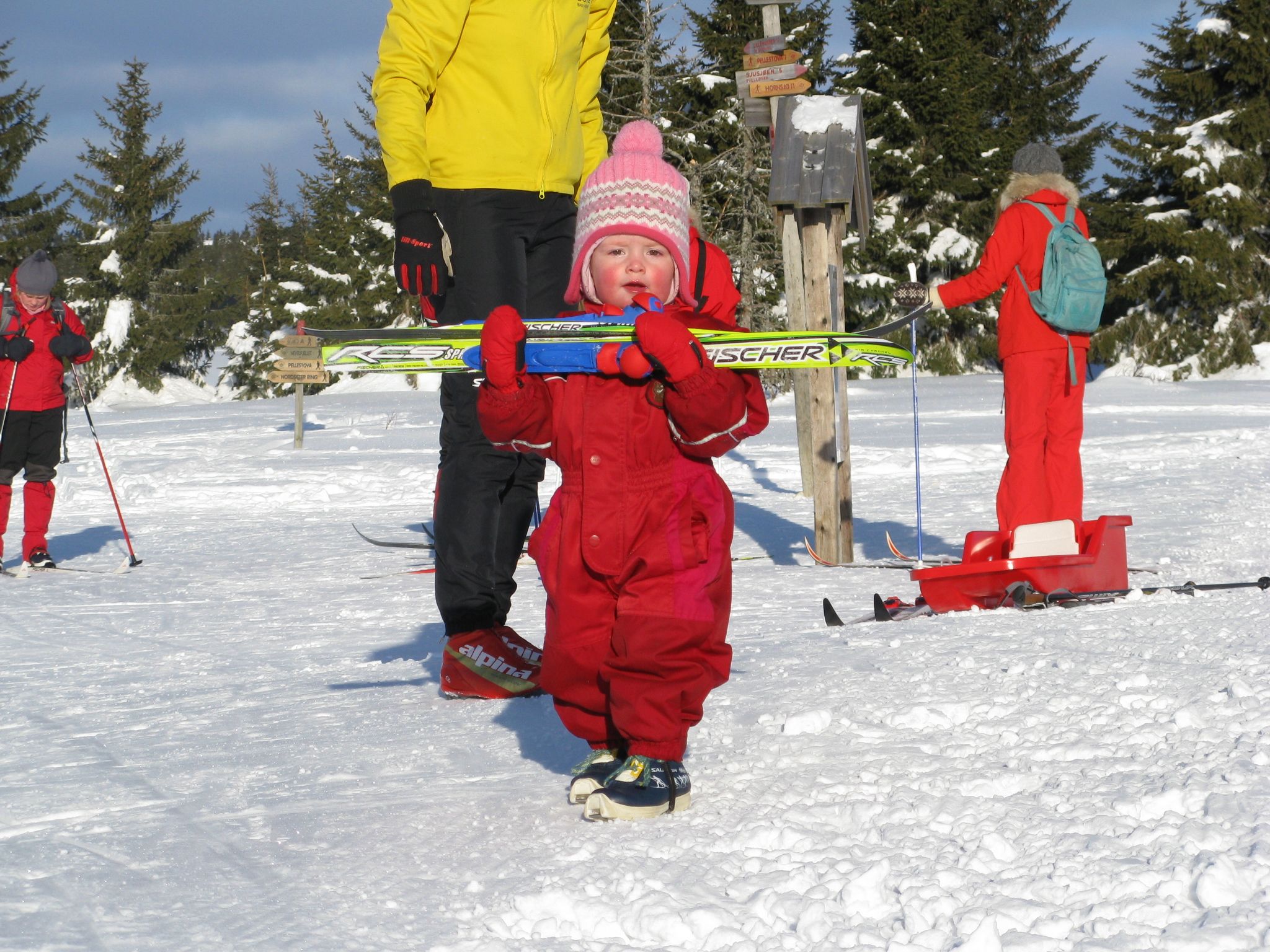 Tidlig krøkes på ski