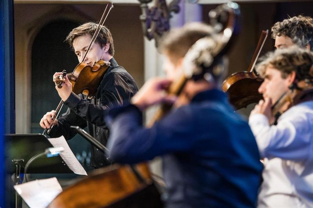 Musicians at the Chamber Music Festival